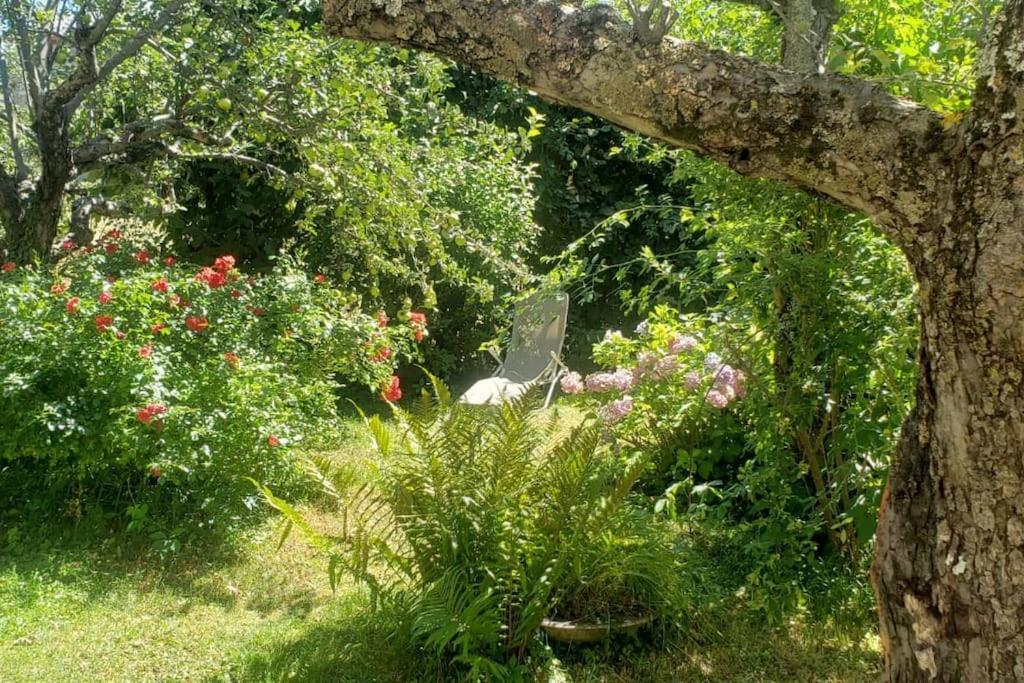 T2 Dans Chalet Familial Valdeblore