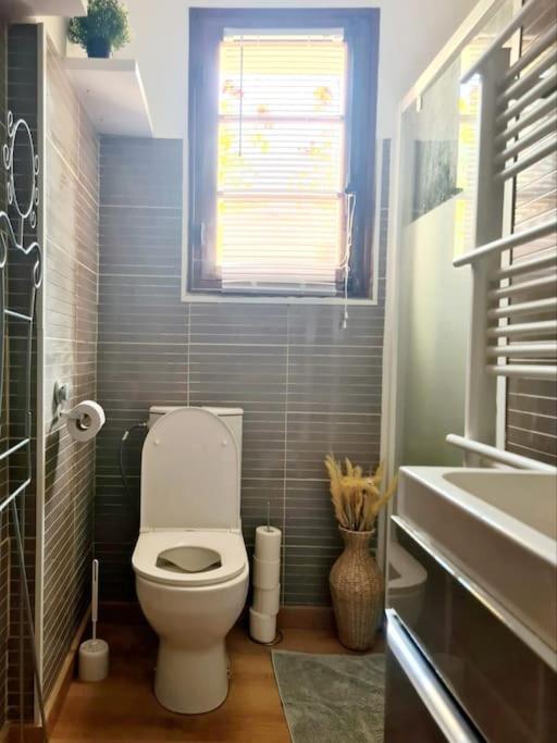 T2 Dans Chalet Familial Apartment Valdeblore